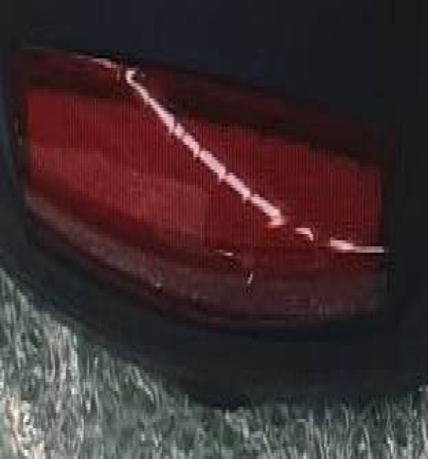 Text