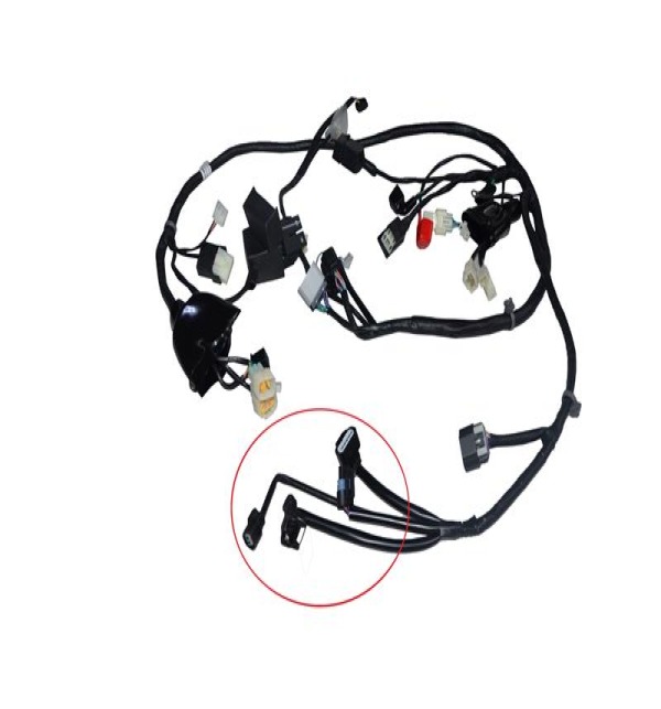 Text