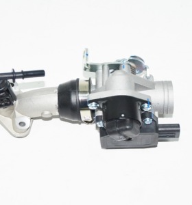 GAZ KELEBEĞİ SET (DELPHI) (SPONTINI110) XF110