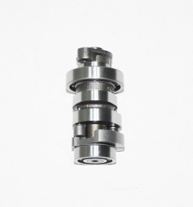 EKSANTRİK MİLİ (SPONTINI110) XF110